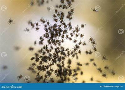 福安熱血封神H5_刀劍萌俠(0.1折版) 助力創(chuàng)業(yè)者騰飛的良機市場營銷策劃